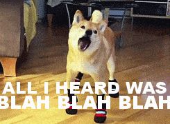 How important it is for startups to listen to customers and get their feedback